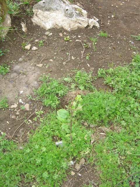 DSC02074%7E0.jpg