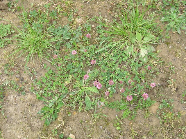 DSC02079.jpg