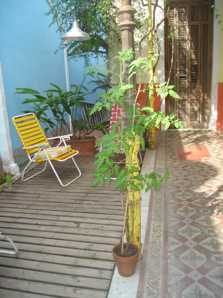 DSC02087.jpg
