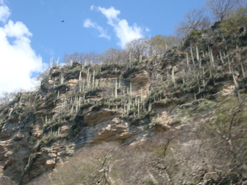 DSC02093_zps7842372b.jpg