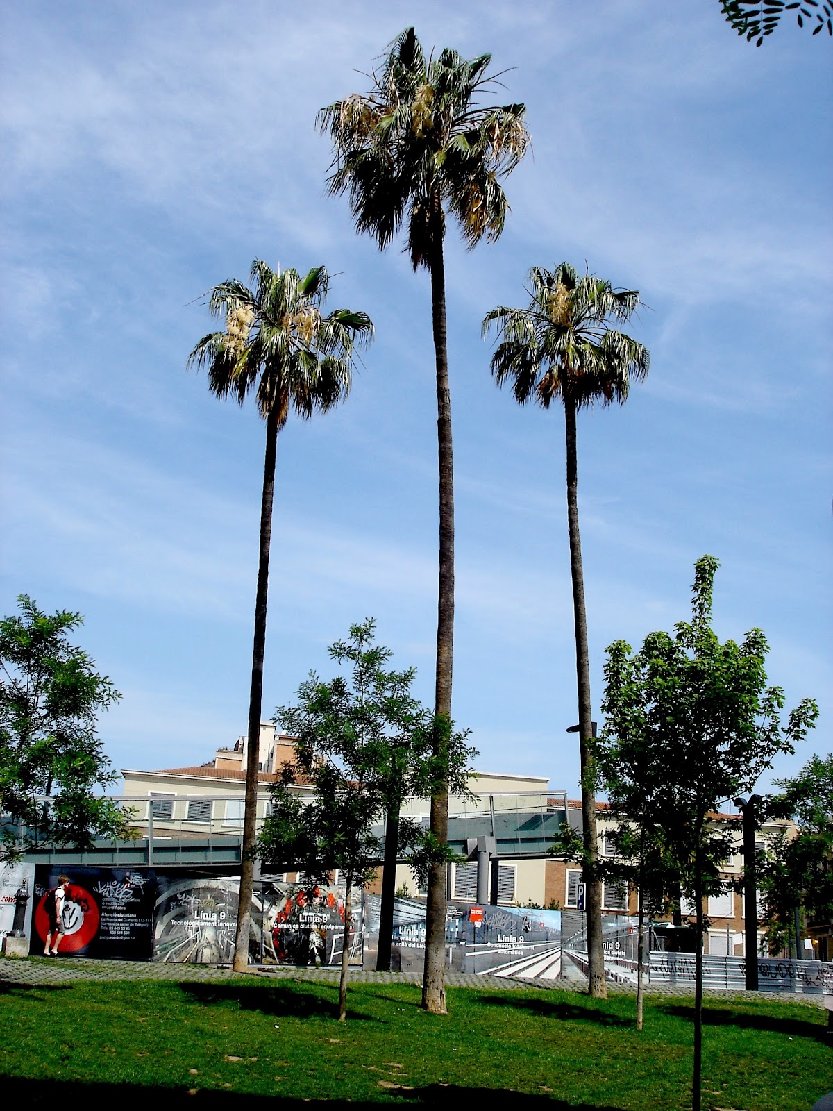 DSC02109.JPG