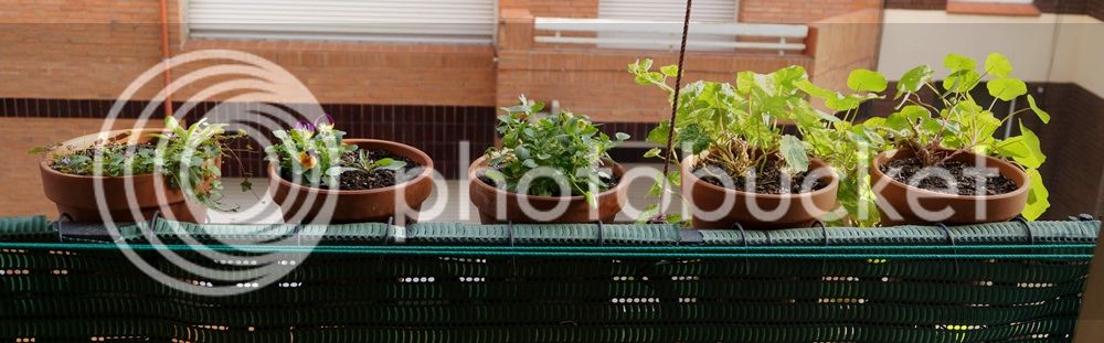 DSC02127_zps8a9b2bf0.jpg