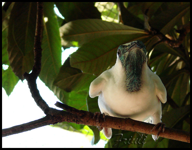 DSC02130_copiar.jpg