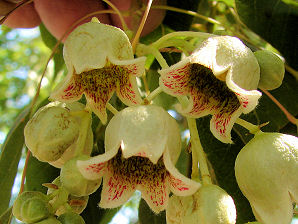 Dsc02136b.jpg