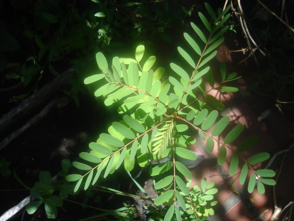 DSC02143.jpg