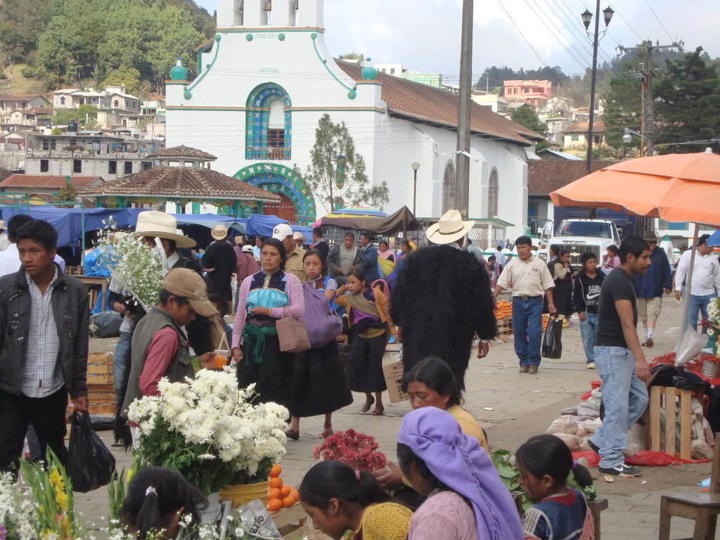 DSC02149_zps73d686d1.jpg