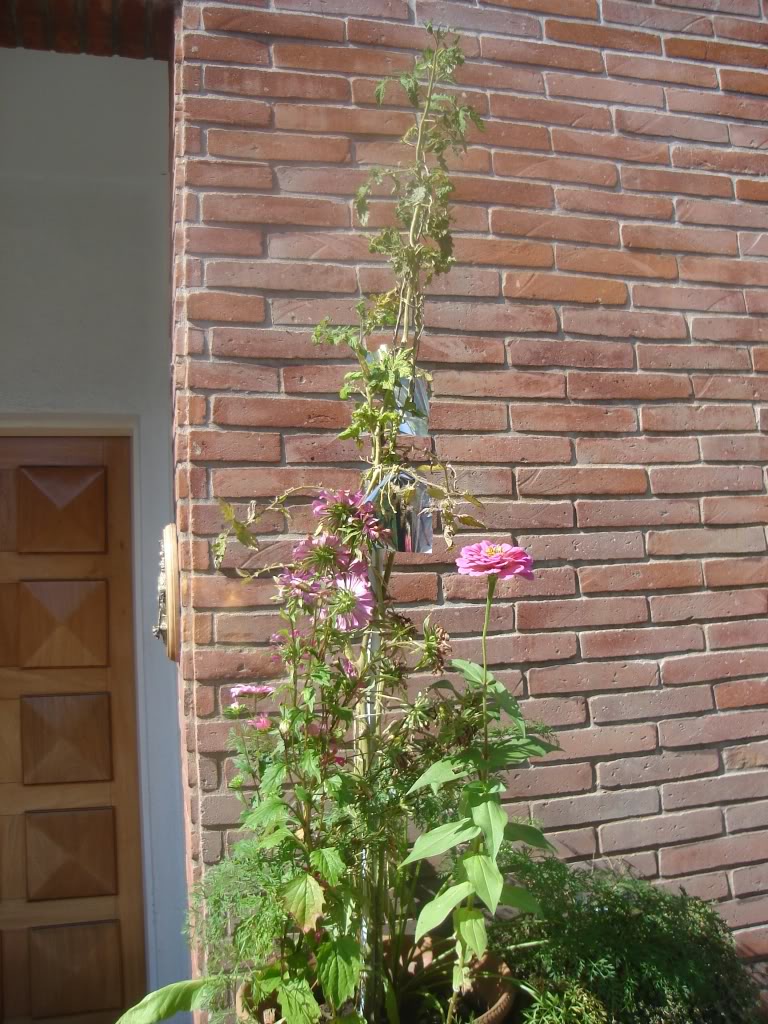 DSC02164.jpg