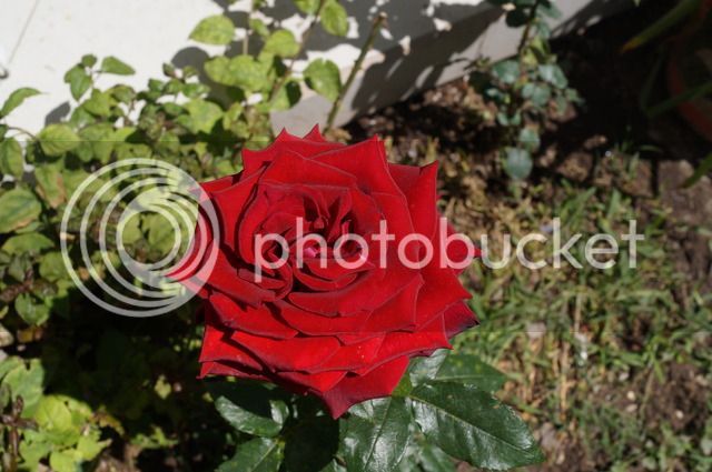 DSC02164.jpg
