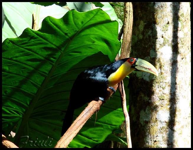 DSC02165_copiar.jpg