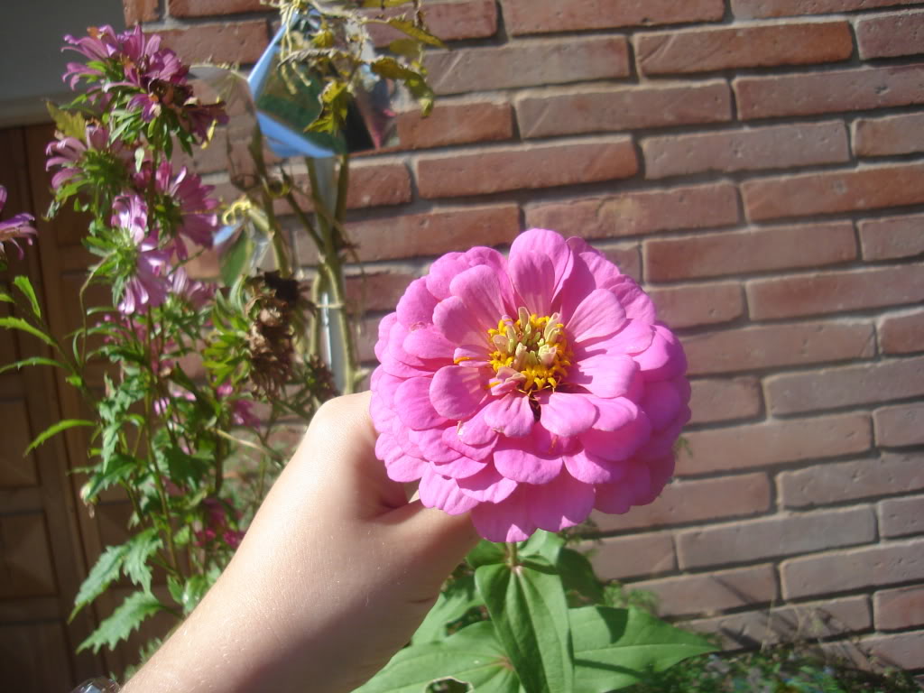 DSC02166.jpg