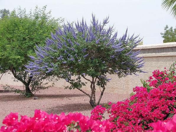Dsc02170.jpg