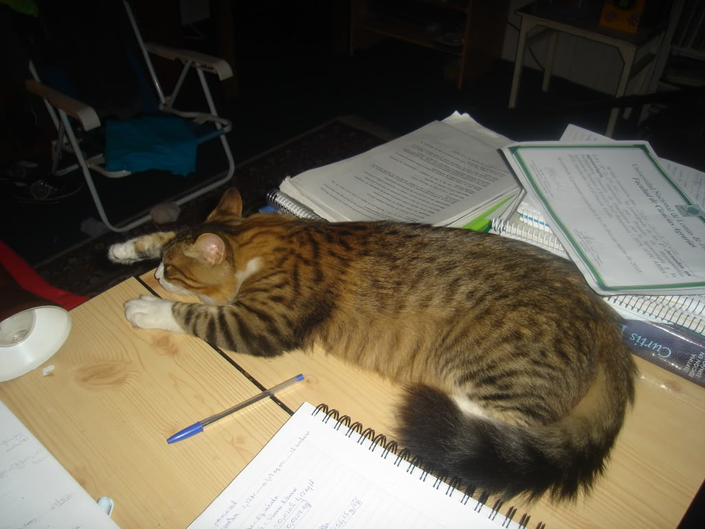 DSC02171.jpg