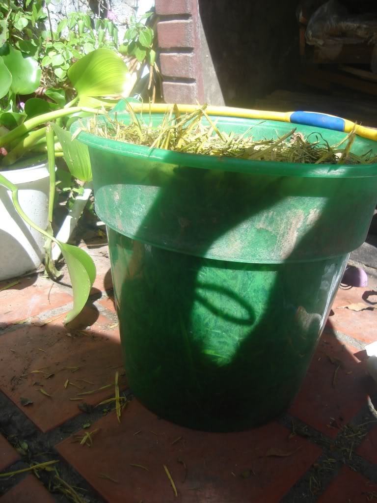 DSC02174.jpg