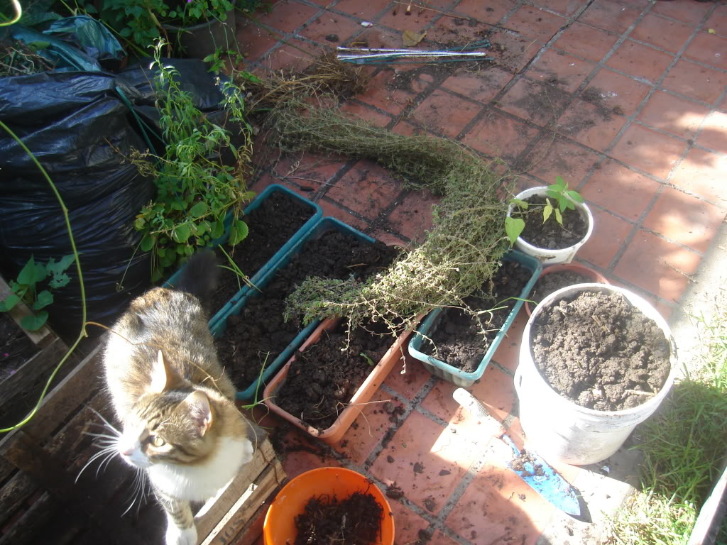 DSC02179.jpg