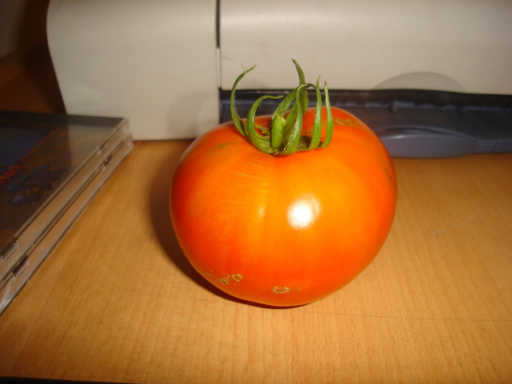DSC02184.jpg