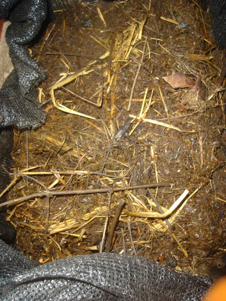 DSC02193.jpg