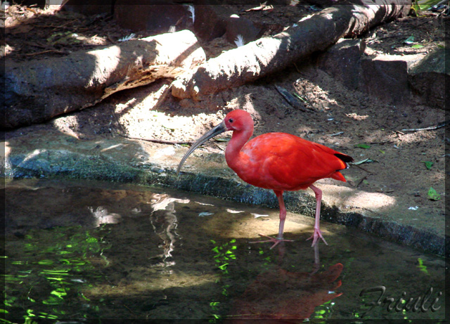 DSC02195_copiar.jpg