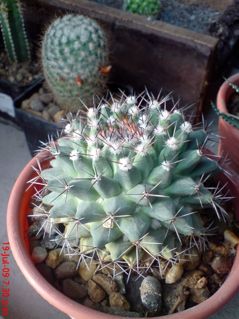 DSC02202.jpg