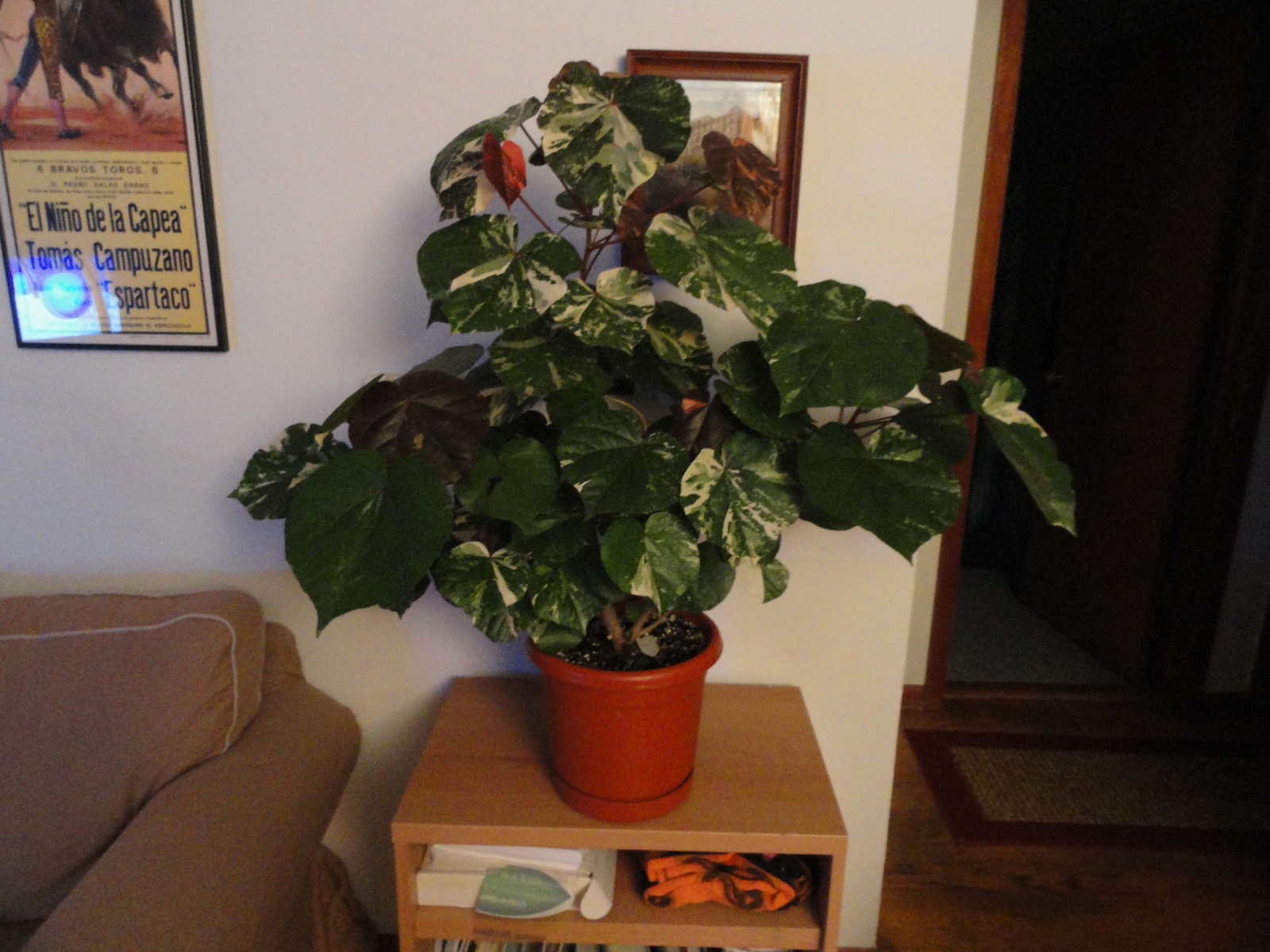 dsc02214.jpg