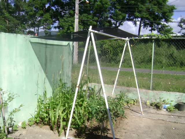 DSC02243.jpg