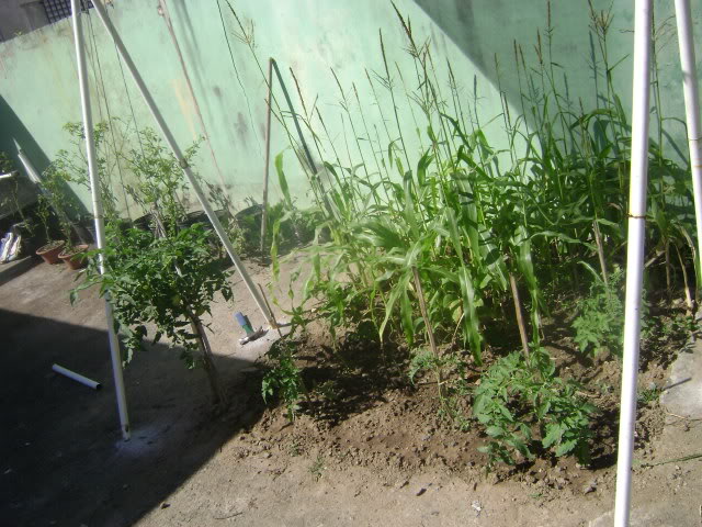 DSC02244.jpg