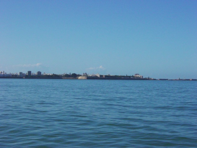 DSC02250.JPG
