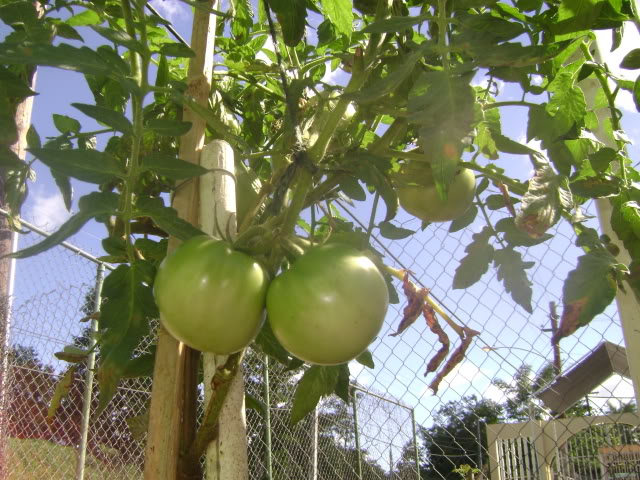 DSC02256.jpg