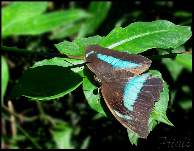DSC02275_copiar.jpg