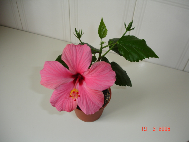 DSC02284%7E0.JPG