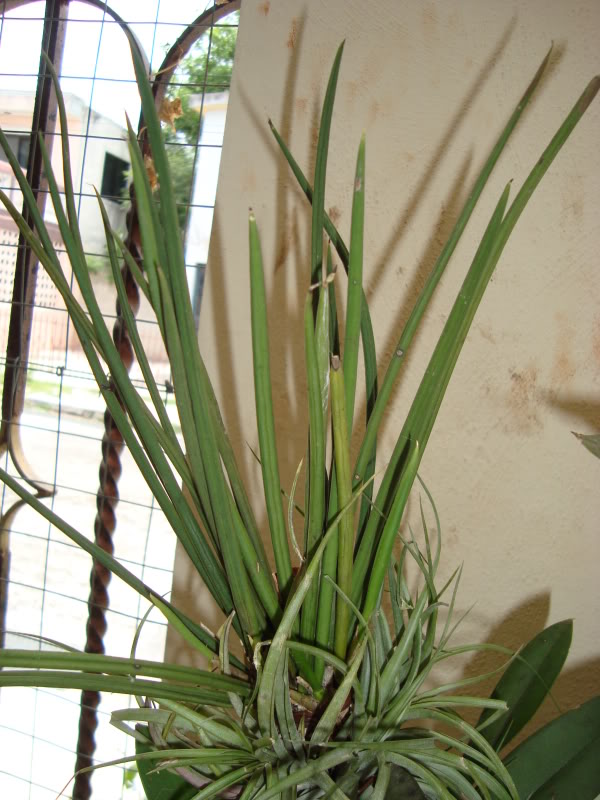 DSC02297.jpg