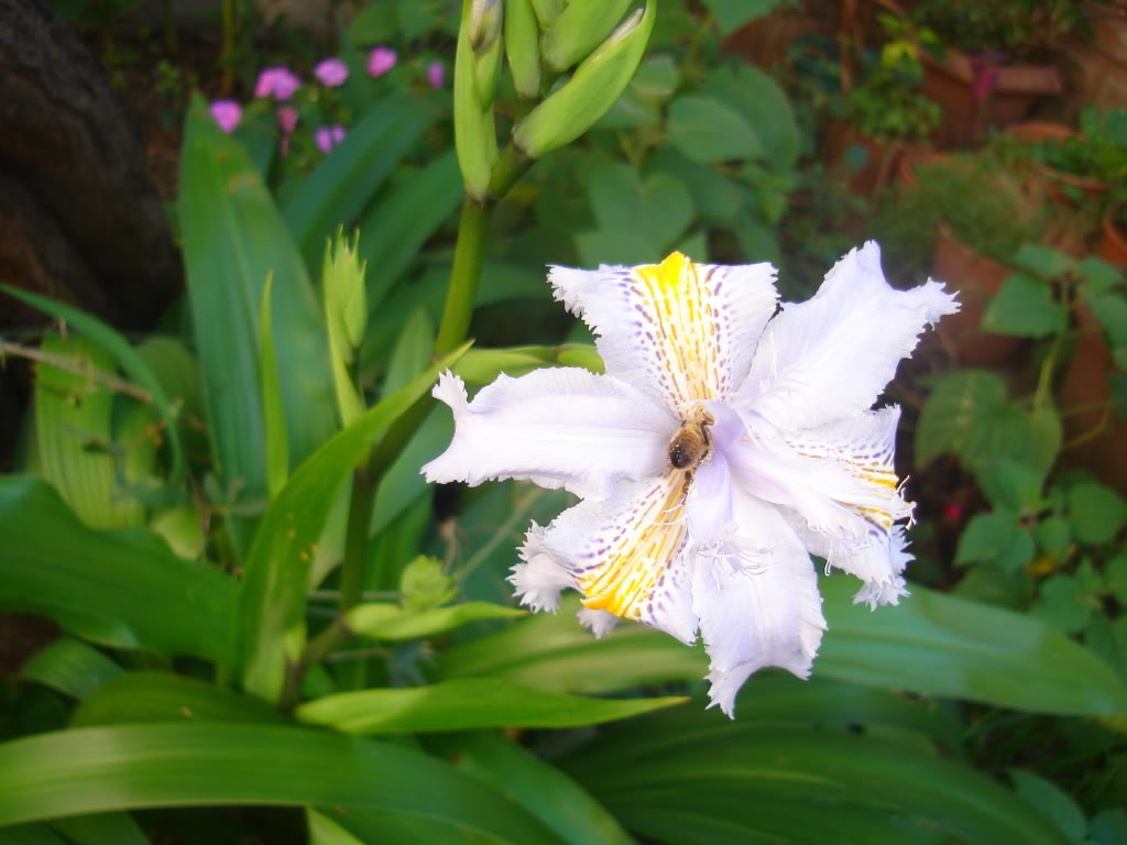 DSC02298.jpg
