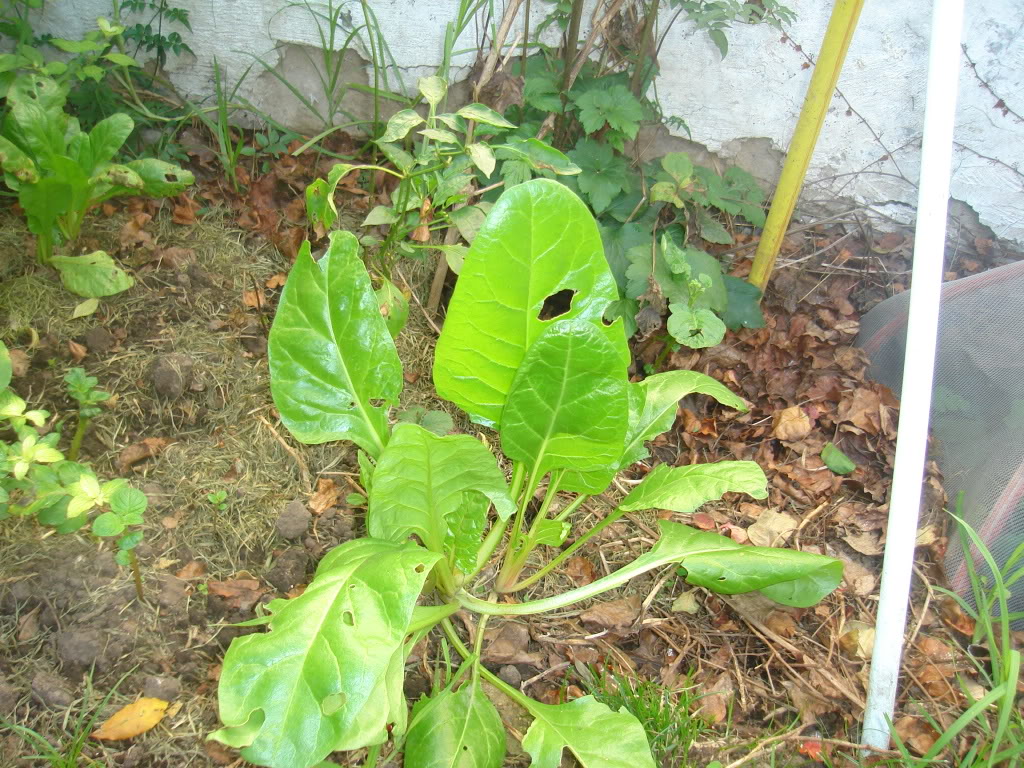 DSC02301.jpg