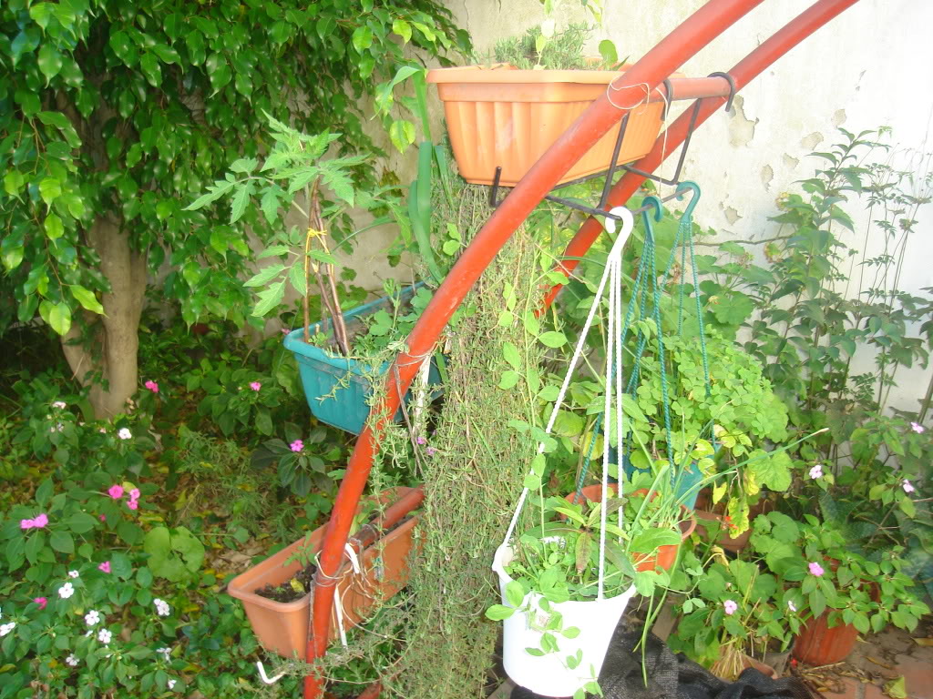 DSC02304.jpg
