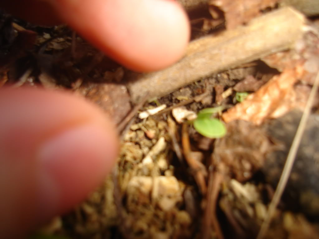 DSC02307.jpg