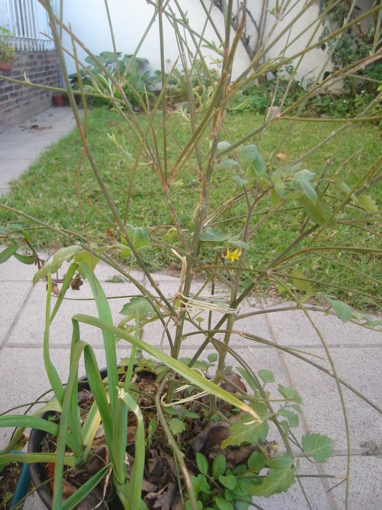 DSC02330.jpg