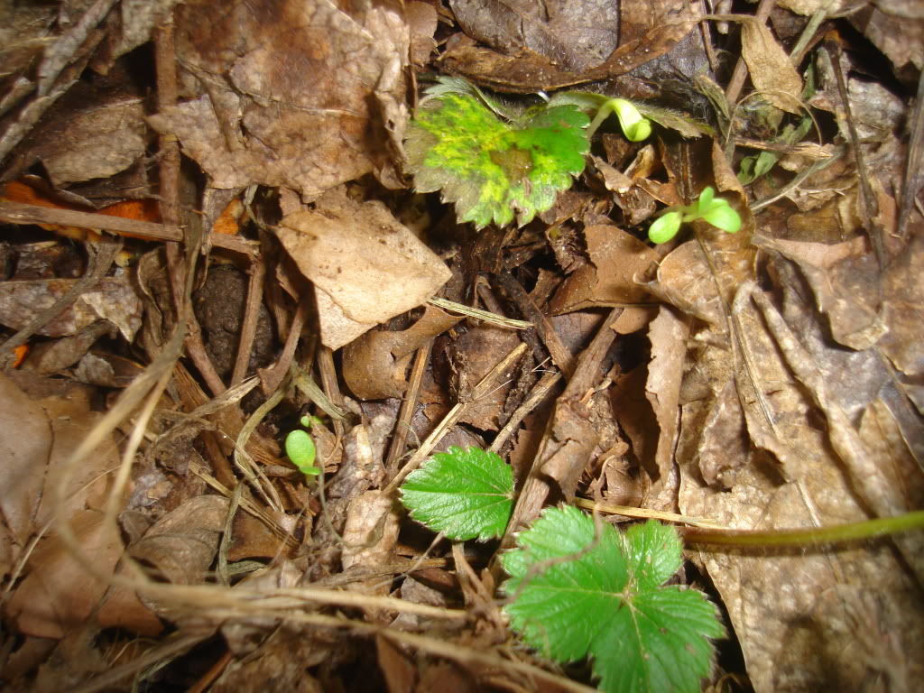DSC02340.jpg