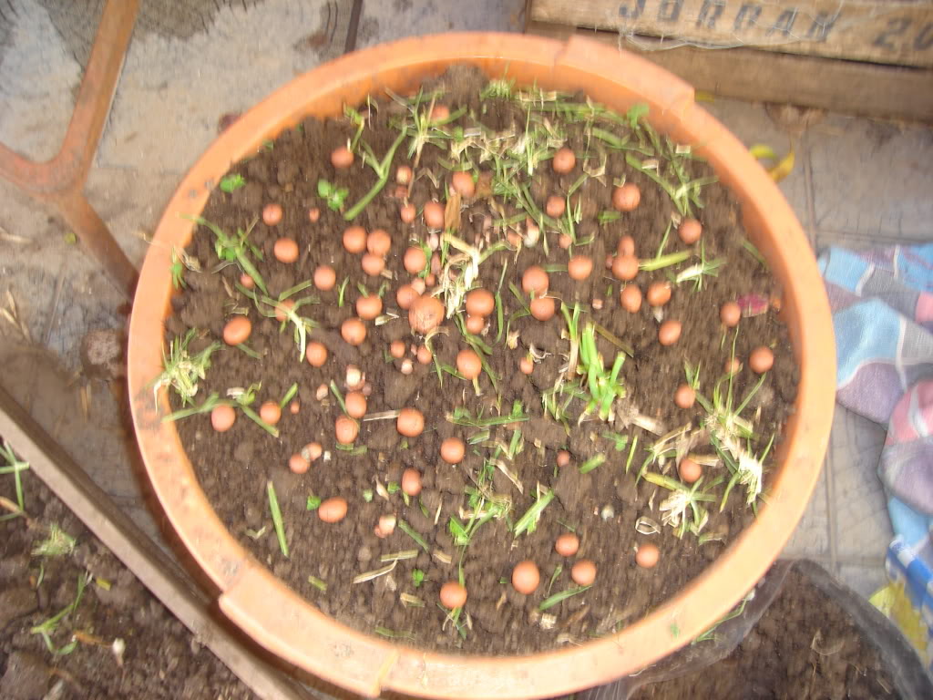 DSC02344.jpg