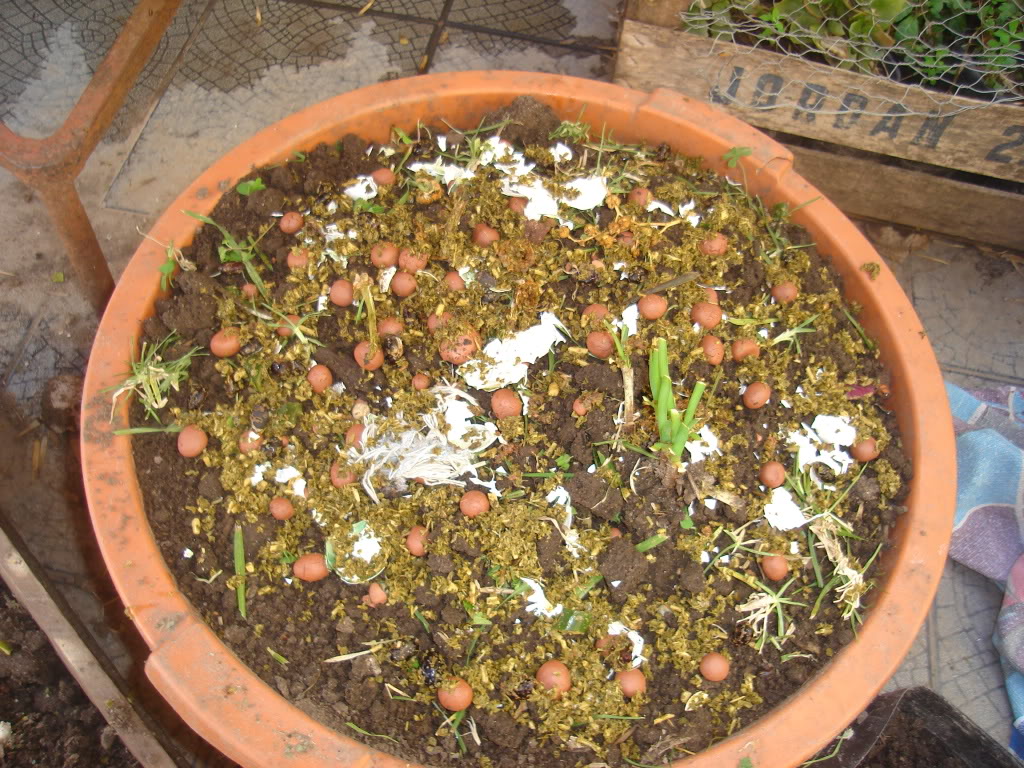 DSC02345.jpg