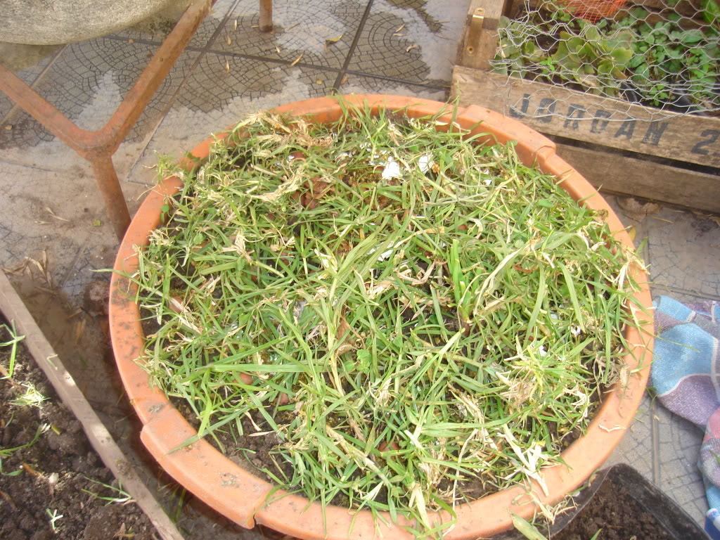 DSC02346.jpg