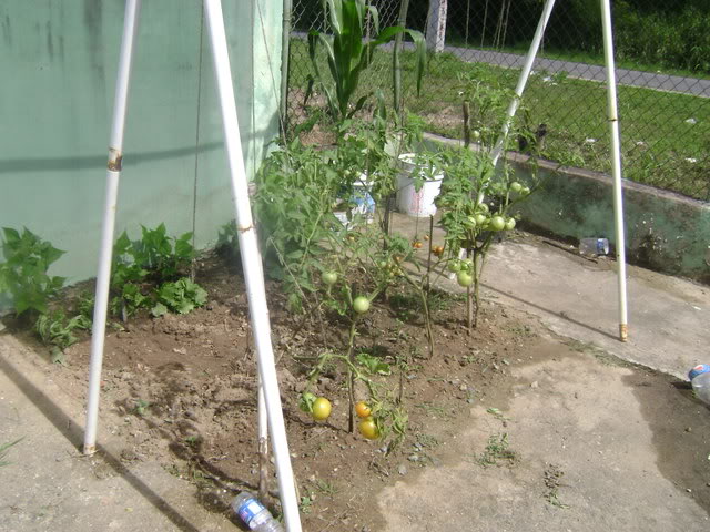 DSC02349.jpg
