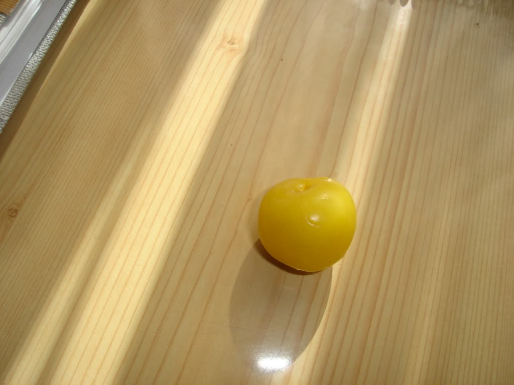 DSC02354.jpg