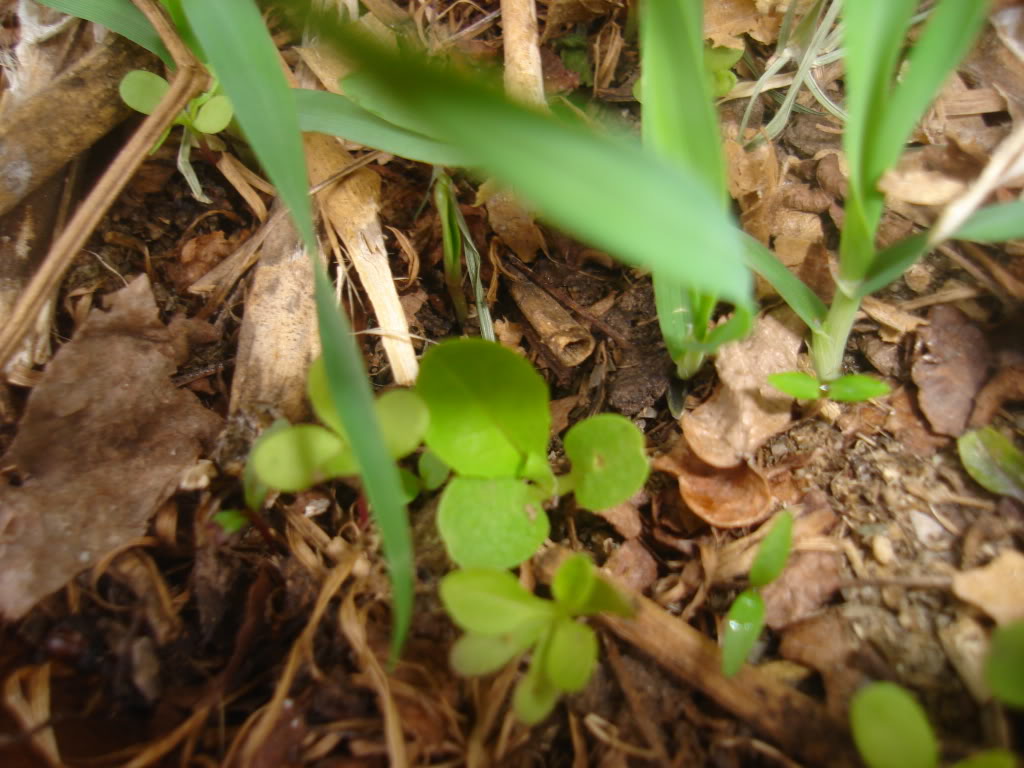 DSC02359.jpg