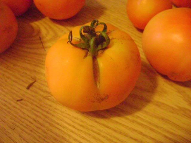DSC02360.jpg