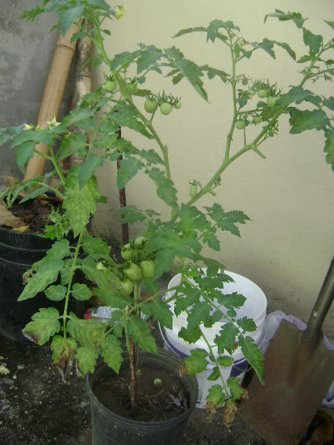 DSC02369.jpg