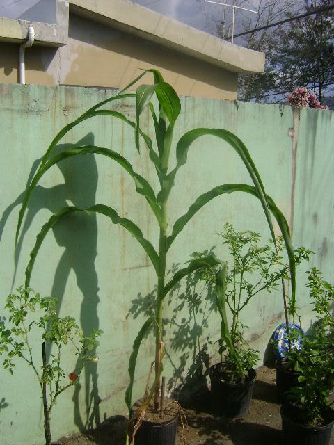 DSC02371.jpg