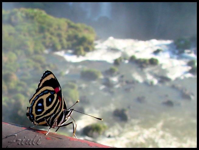 DSC02372_copiar.jpg