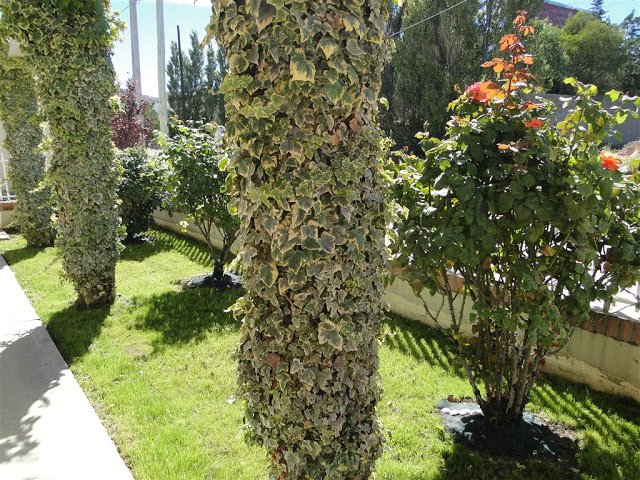 DSC02373.JPG