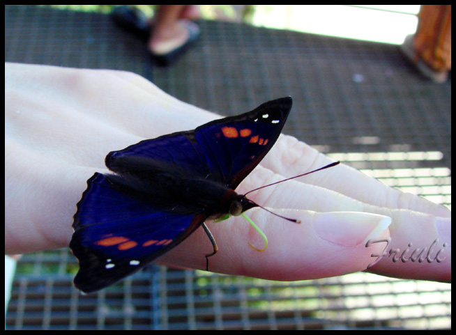 DSC02375_copiar.jpg