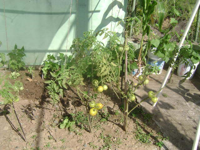DSC02377.jpg