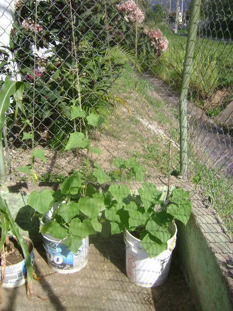 DSC02378.jpg